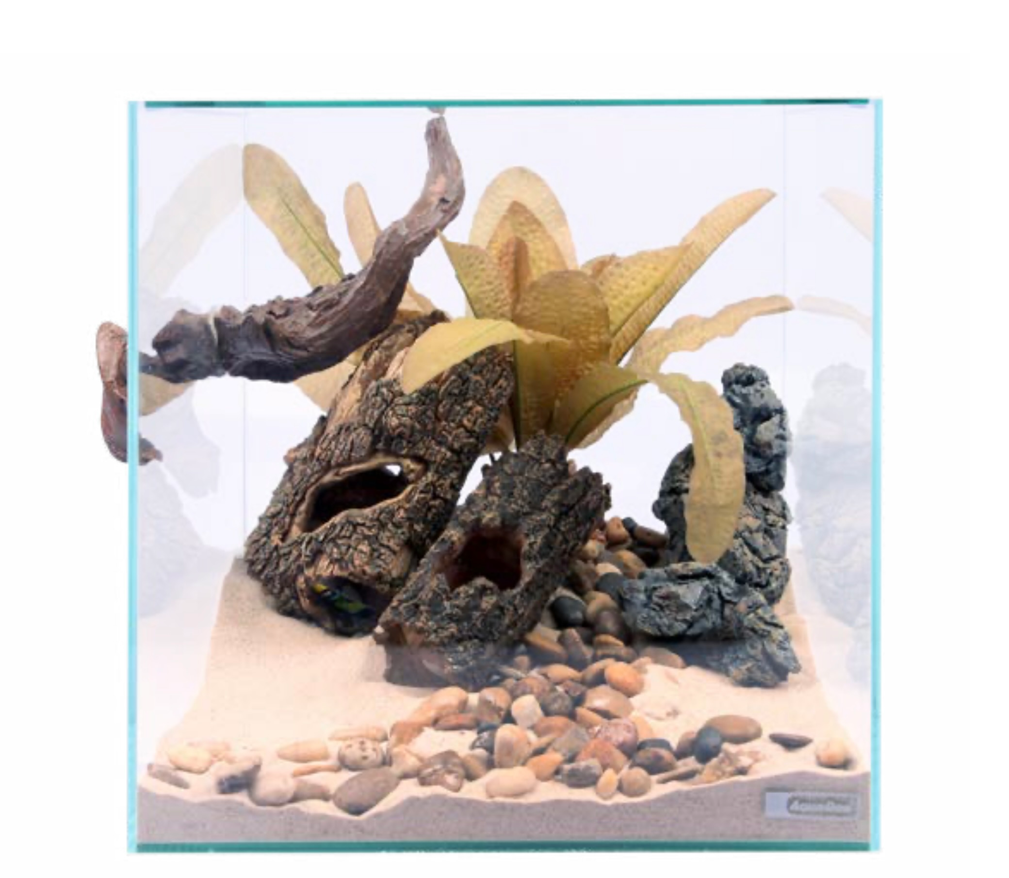 Aquariums, Terrariums, Fish Bowls & Nano Tanks