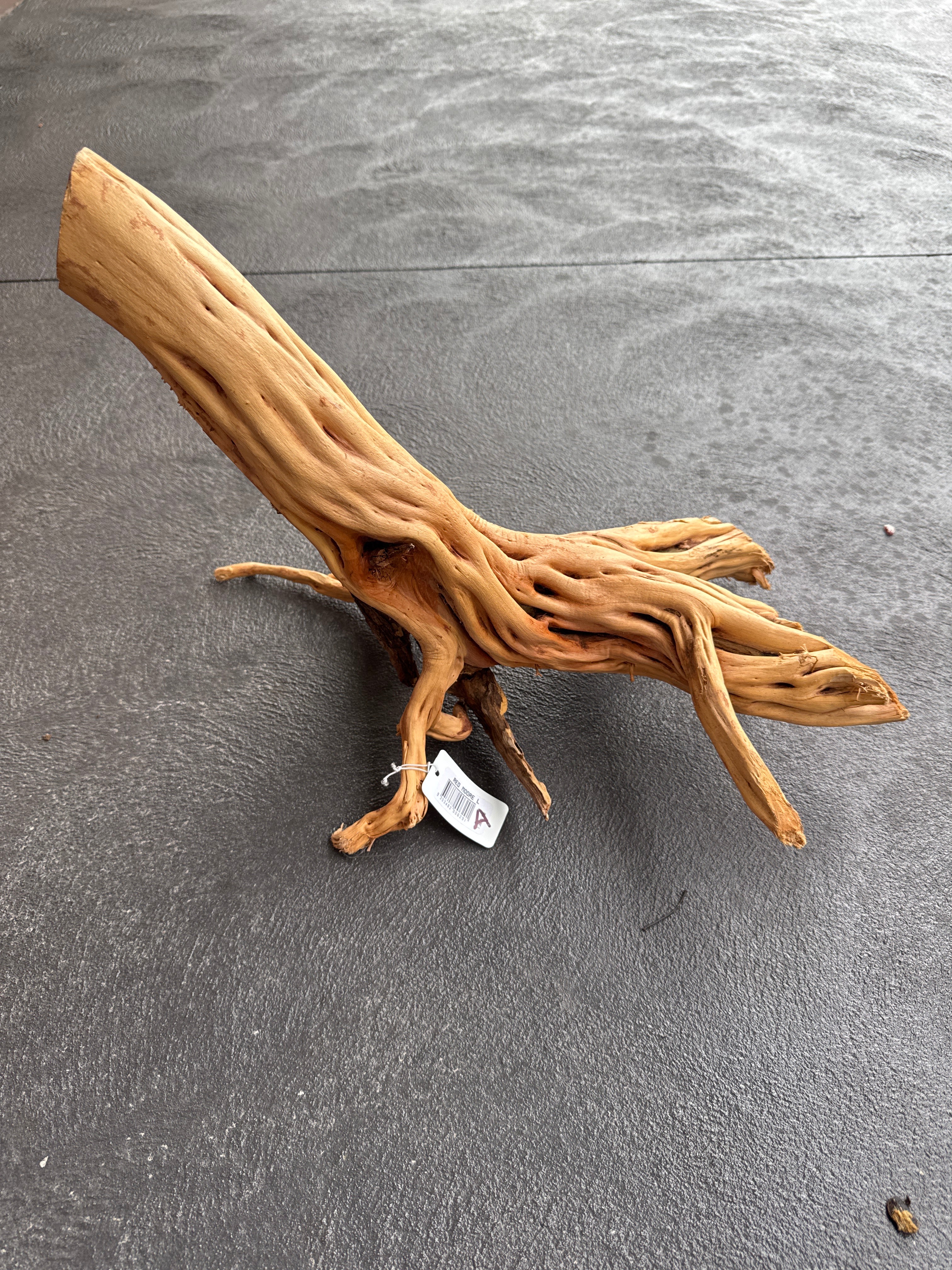 Red Moore Wood - Large - 50cm