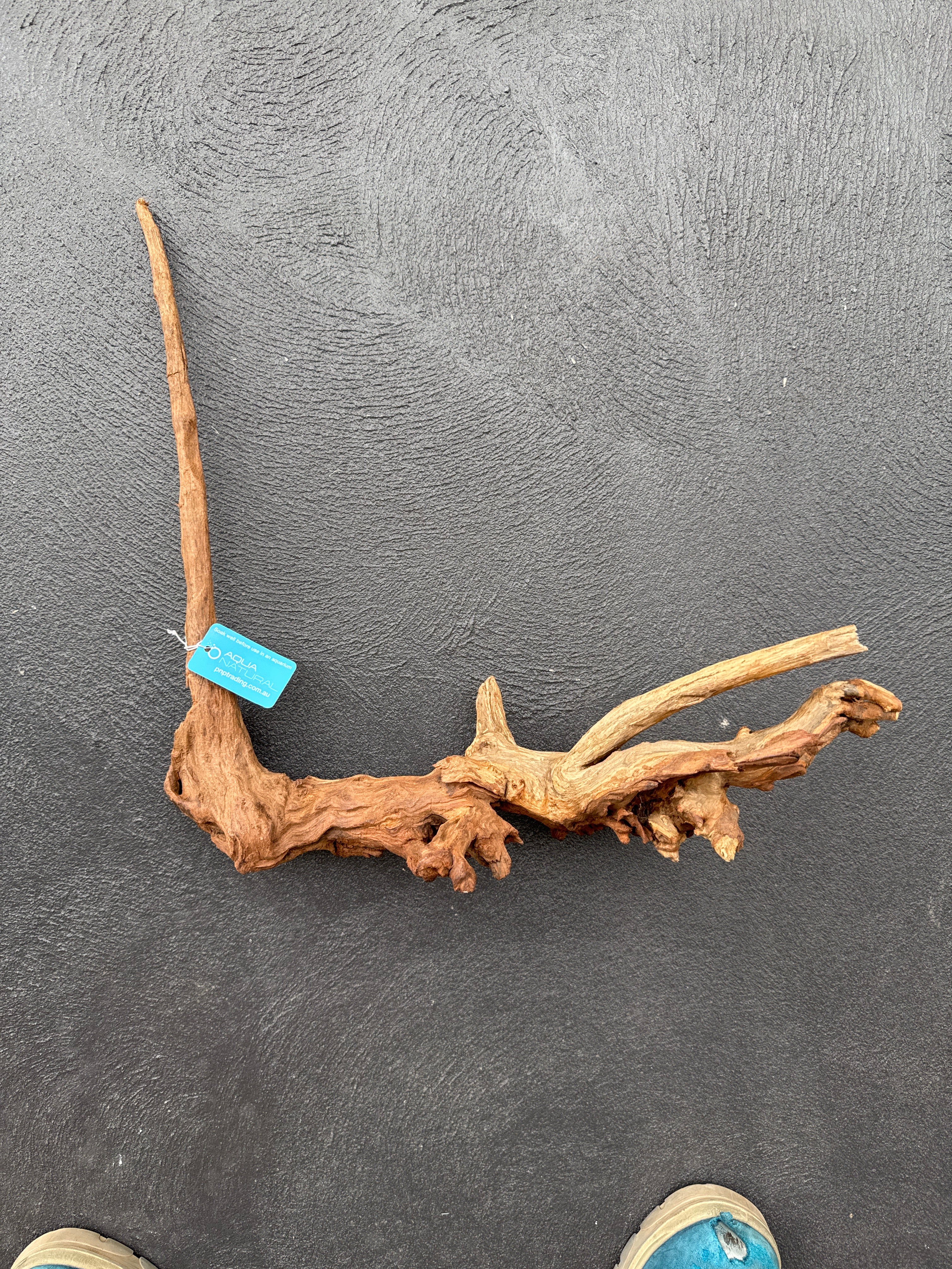 Wizard Wood - XL - 55cm