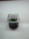 Sarracenia Judith Hindle - Pitcher Plant - 1 small plant in cup