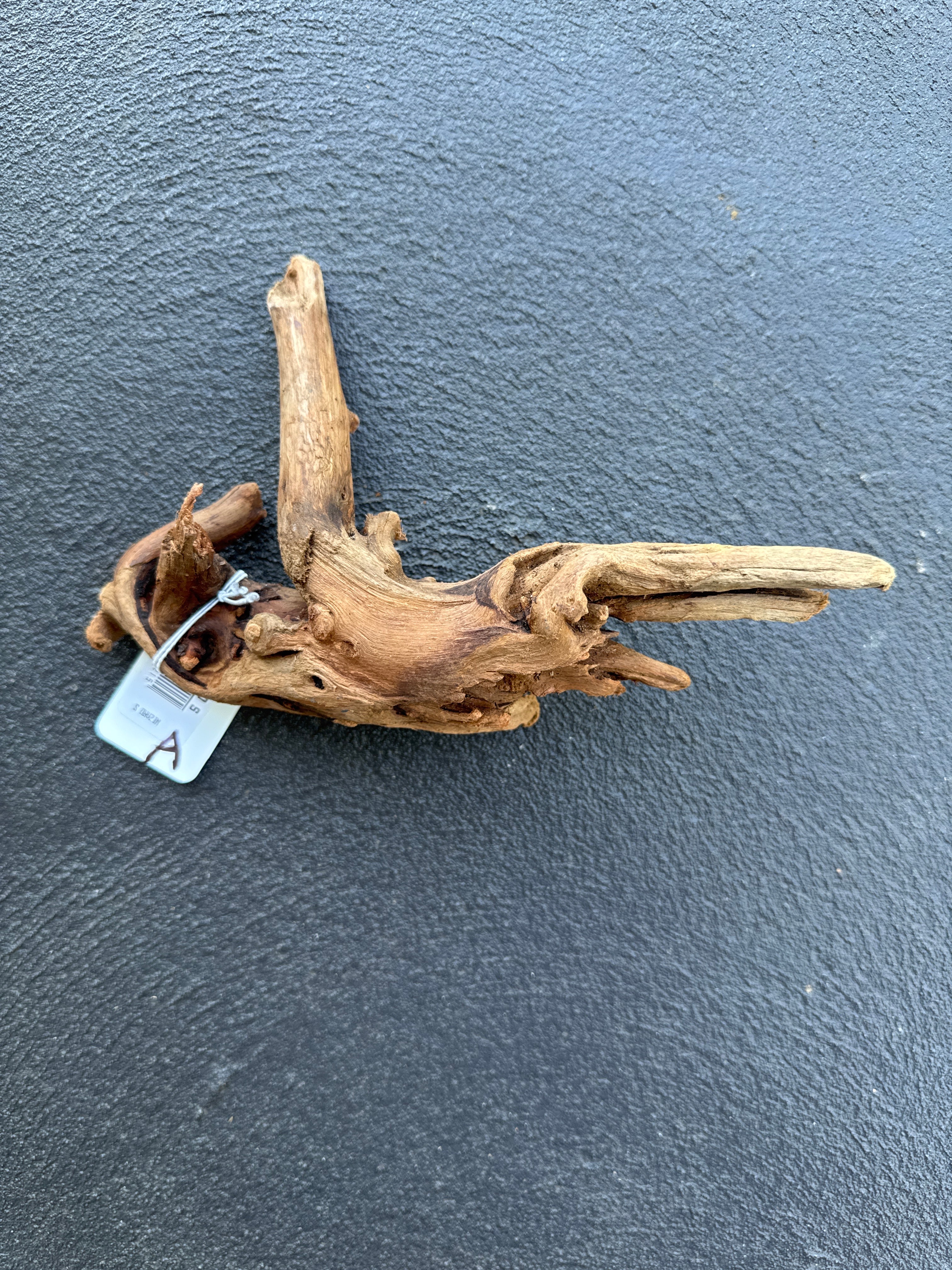 Wizard Wood - S - 20cm