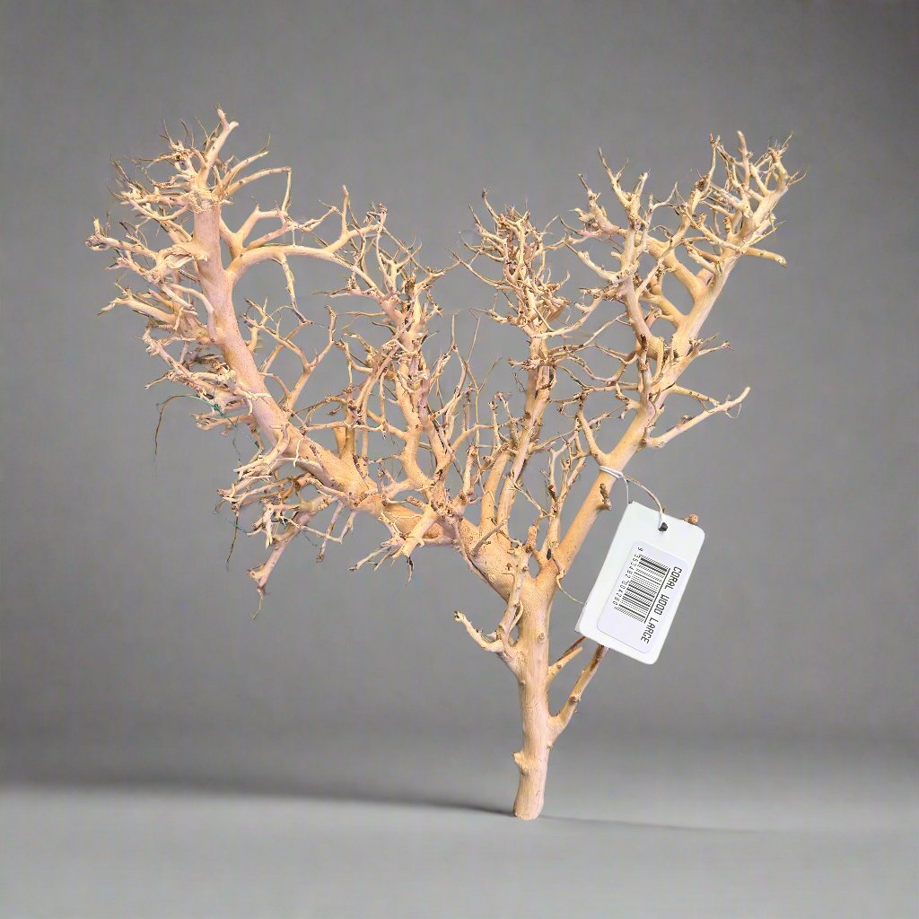 Coral Wood - Large - 32cm to 40cm
