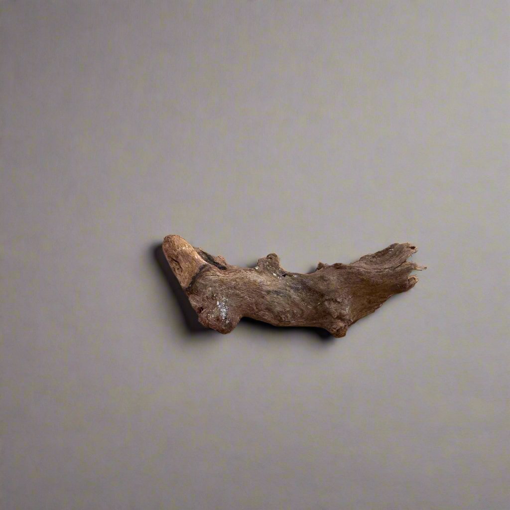 Bioscape Tectona Coral Driftwood - Nano 10-15cm