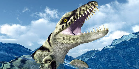 Dakosaurus Poster - 60cm x 120cm