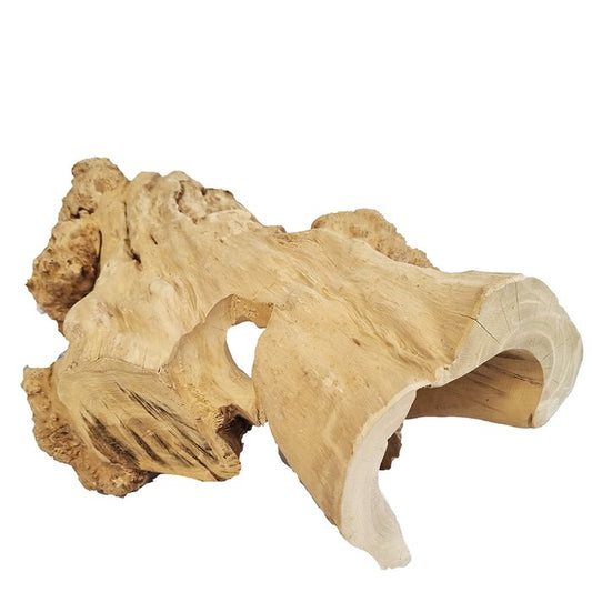 Coffeewood Hide - Extra Large - 40cm