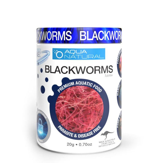 Freeze Dried Blackworms - Fish Food - 20g