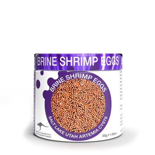 Brine Shrimp Eggs (Unhatched Fish Food) - 30g